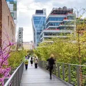 The bridge at High Line with spring trees blossoming
